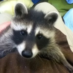 Meet your Posher, Stacie